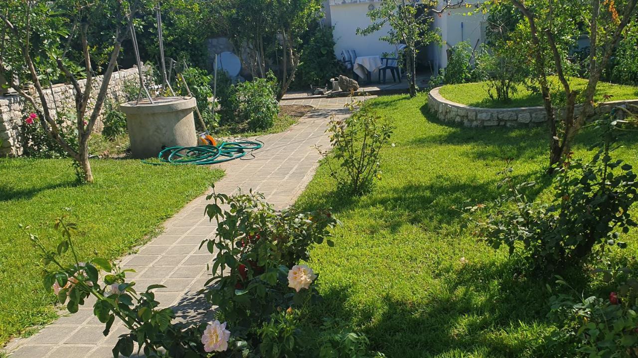 Apartments And Rooms With Parking Space Nin, Zadar - 5805 Buitenkant foto